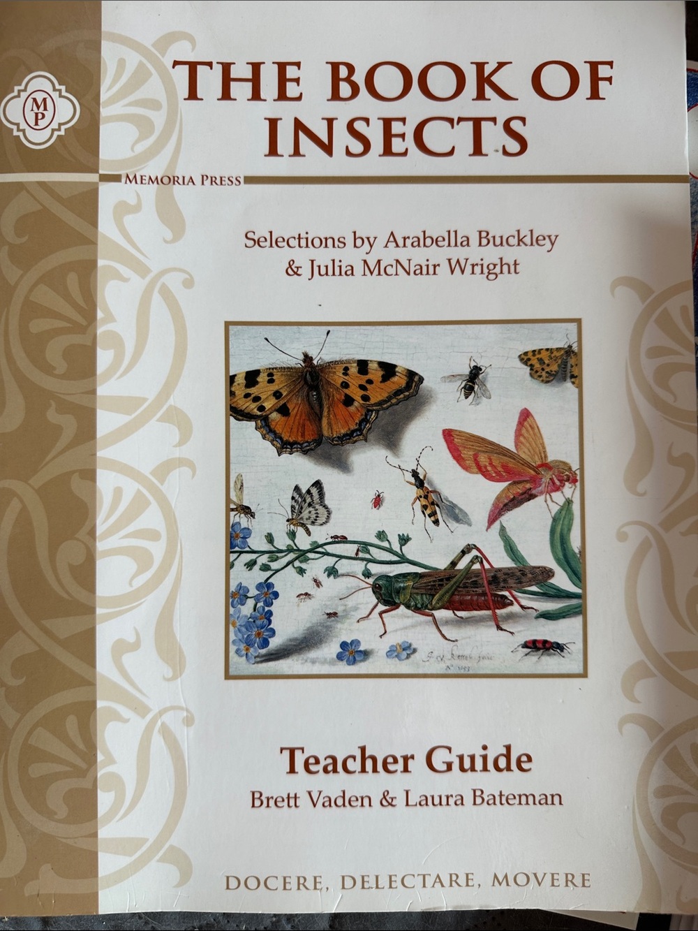 The Book of Insects Teacher Guide - Cream / Brown